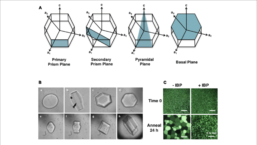 Ice Crystal Planes Adsorbed By Ibps - Institute Of Banking Personnel Selection (850x478), Png Download