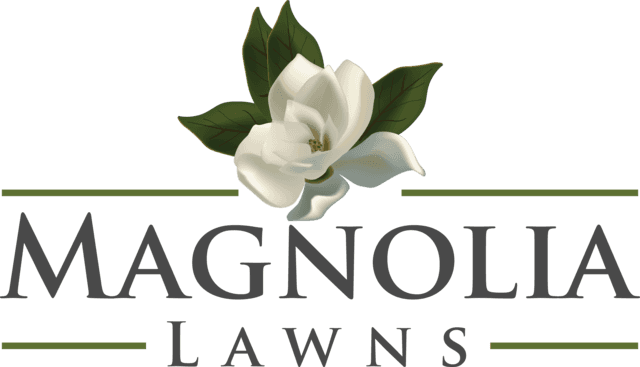 Magnolia Lawns Logo - Magnolia (640x367), Png Download
