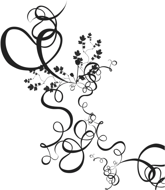 Adornos Para Tarjetas Png - 55 Anniversary Wishe (1036x732), Png Download