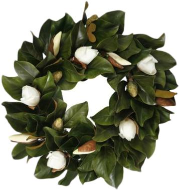 Magnolia-wreath - Jane Seymour Botanicals Magnolia Bud Wreath; White (385x400), Png Download
