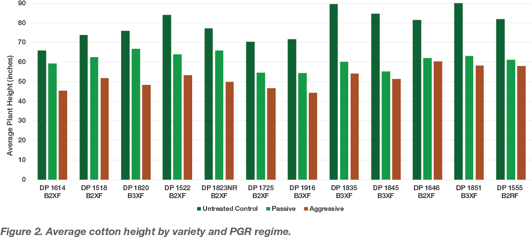 The Tallest Cotton Variety In 2018 Was 90 Inches Tall - Colorfulness (1087x493), Png Download