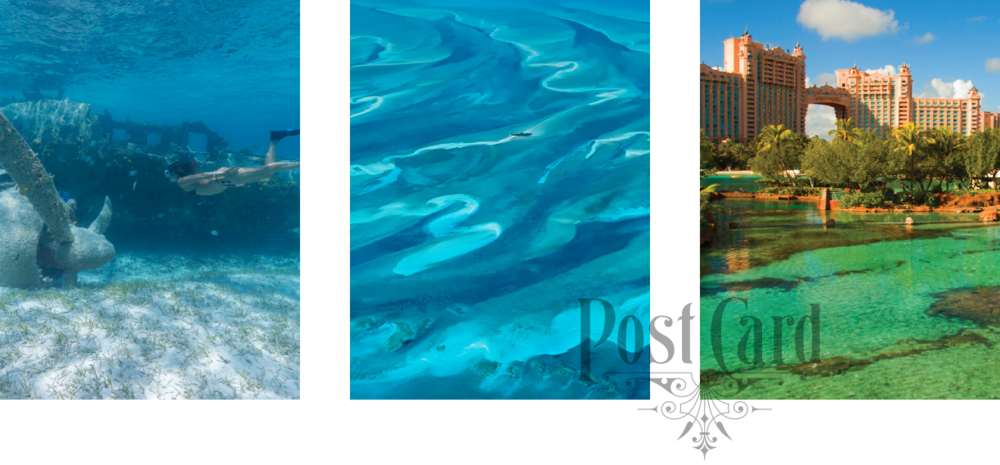 Ladyj Cruise Destination Nassau Collage - Atlantis Paradise Island (1000x465), Png Download