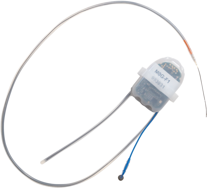 The Link Between Metabolism And The Cardiovascular - Headphones (1013x1027), Png Download