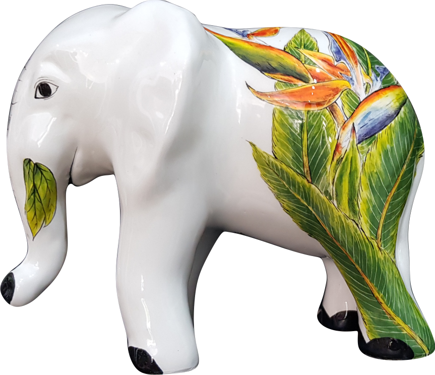 Bird Of Paradise (863x744), Png Download