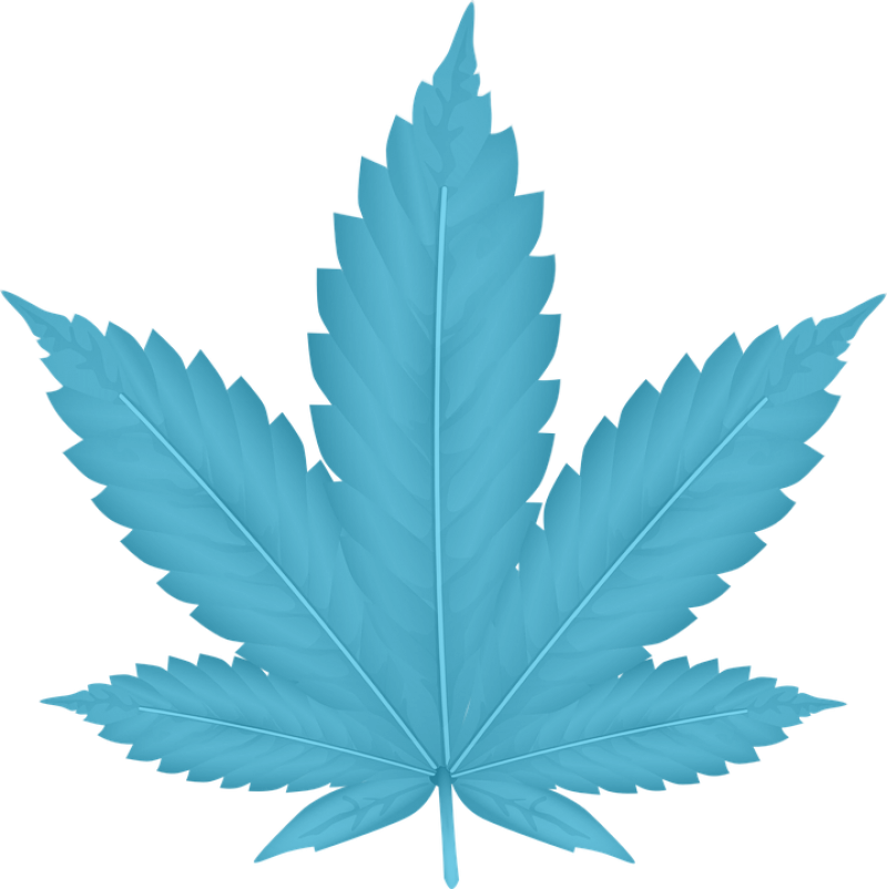 Indica - Weed Clipart Png (800x802), Png Download