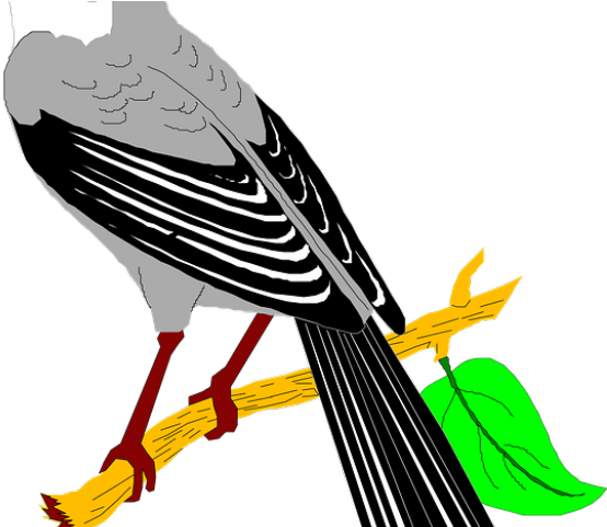 Mockingbird Clipart Quail - Mocking Birds Clip Art (640x480), Png Download