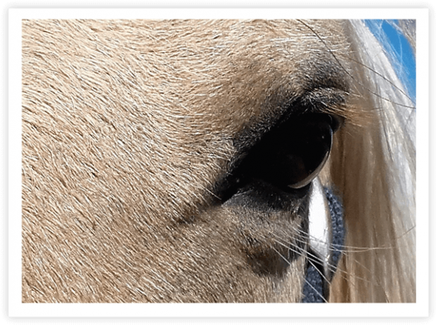 En Que Soñamos - Mare (646x483), Png Download