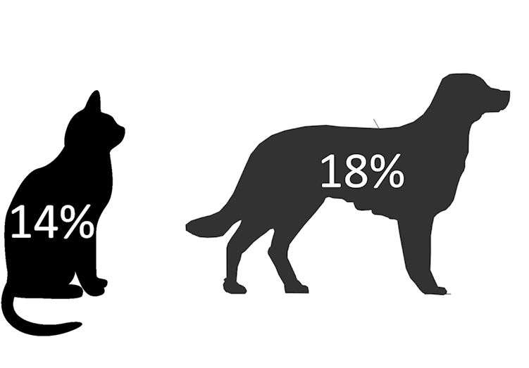 Allergy-stats - Black Cat Silhouette White Background (784x523), Png Download