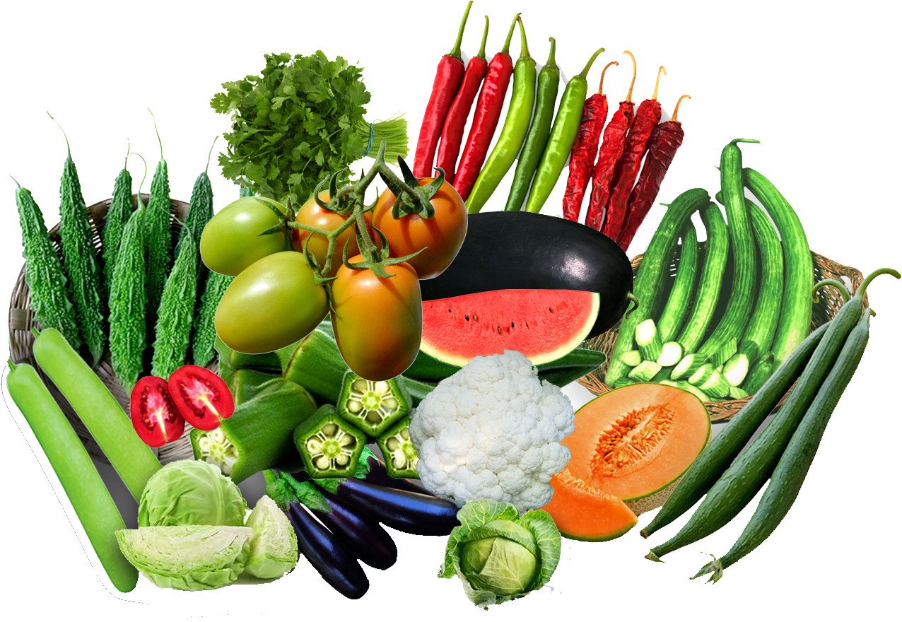 Cucumber (1300x900), Png Download