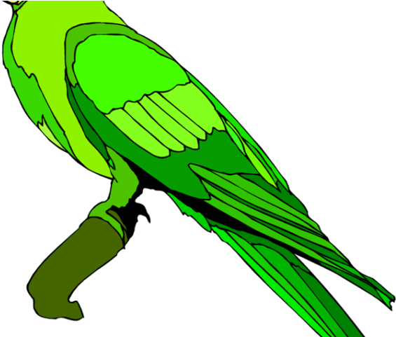 Parrot Clipart Green Parrot - Parrot (640x480), Png Download