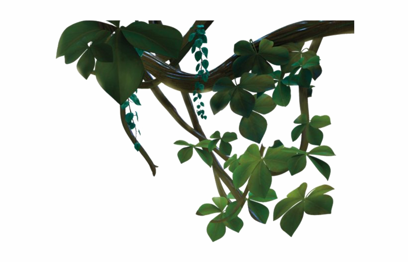 Jungle Vines Transparent - Houseplant (820x526), Png Download