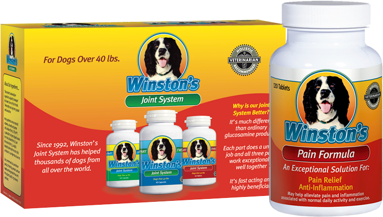 The - Arthritis (893x495), Png Download