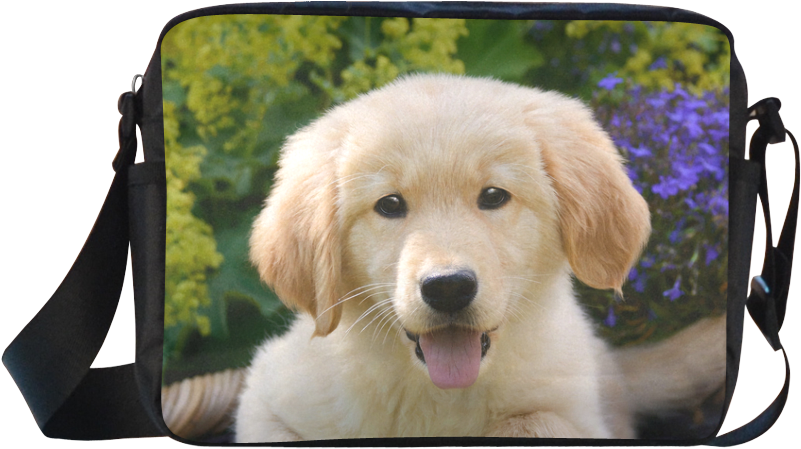 Cute Young Golden Retriever Dog Goldie Puppy Portrait - Golden Retriever Welpen Bilder (1000x1000), Png Download