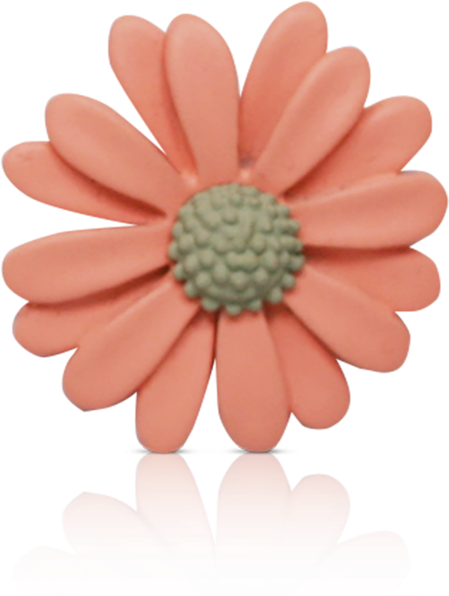 Daisy Pink - Gerbera (500x685), Png Download