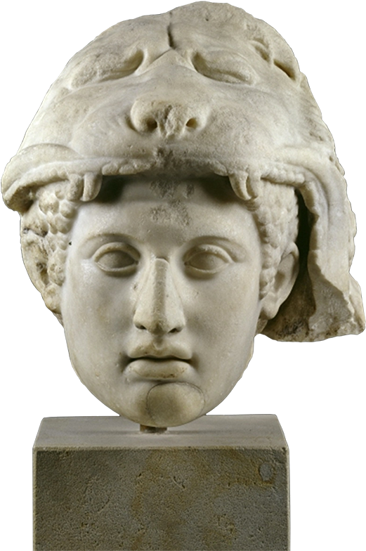 Tete-hercule - Statue (570x800), Png Download