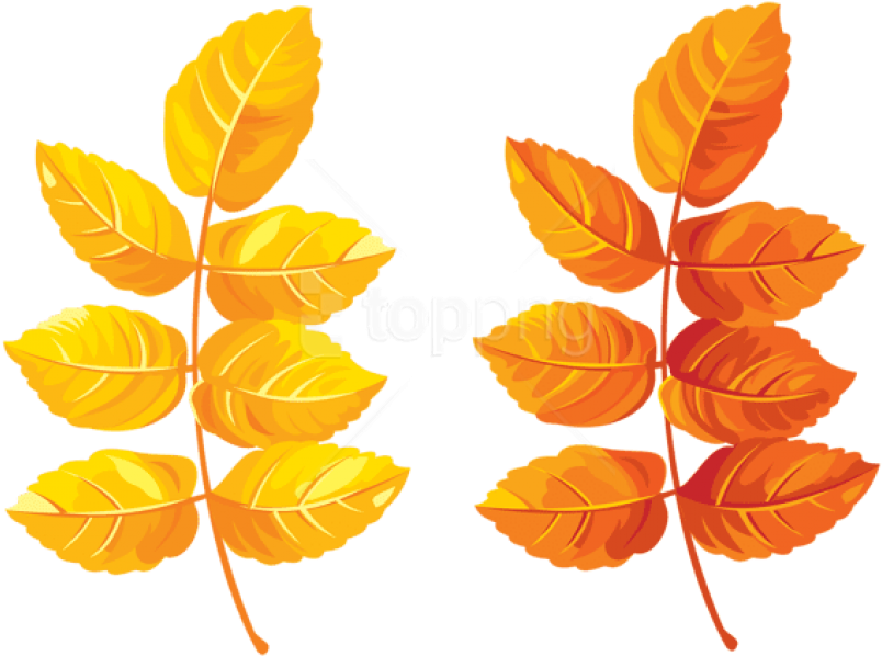 Free Png Download Fall Leaves Clipart Png Photo Png - Yellow Leaves Clipart Transparent (850x611), Png Download