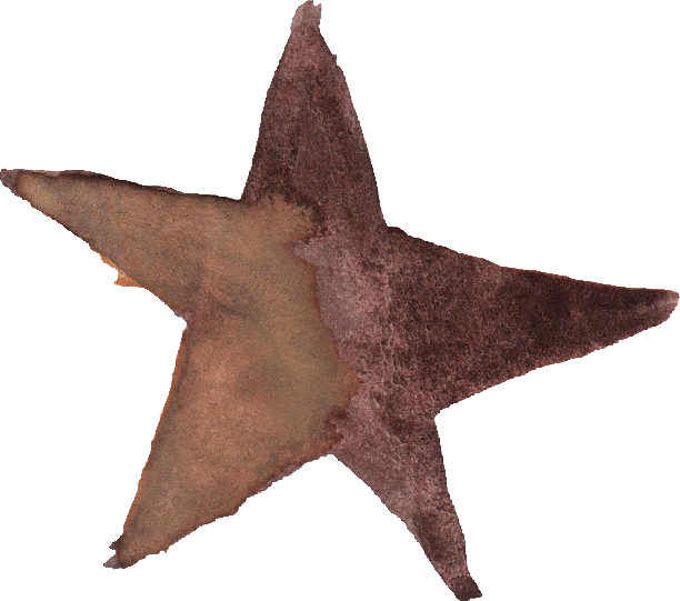 Free Download - Starfish (612x541), Png Download