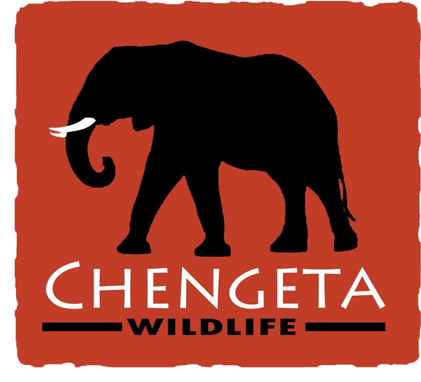 Chengeta Wildlife Logo - Indian Elephant (864x788), Png Download