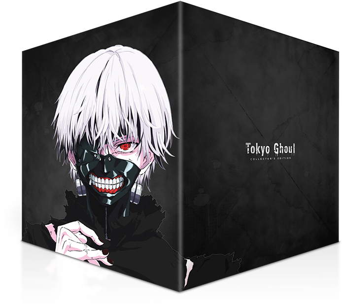 748 X 750 Www - Tokyo Ghoul Collector's Edition (748x750), Png Download