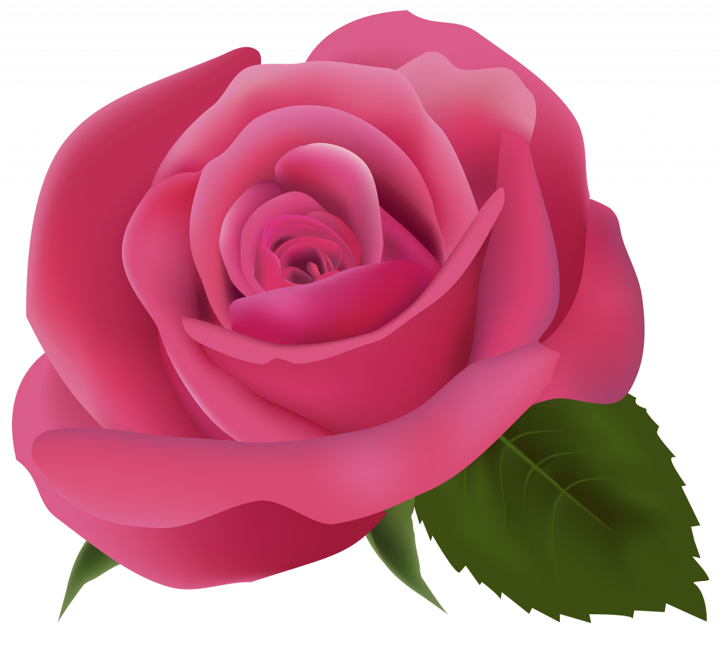 Download Pink Rose Clip Art (1024x953), Png Download