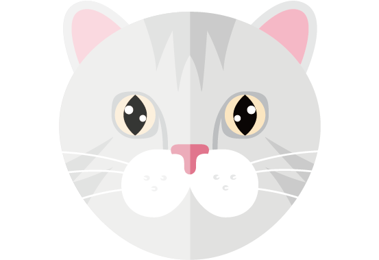Cat (568x567), Png Download