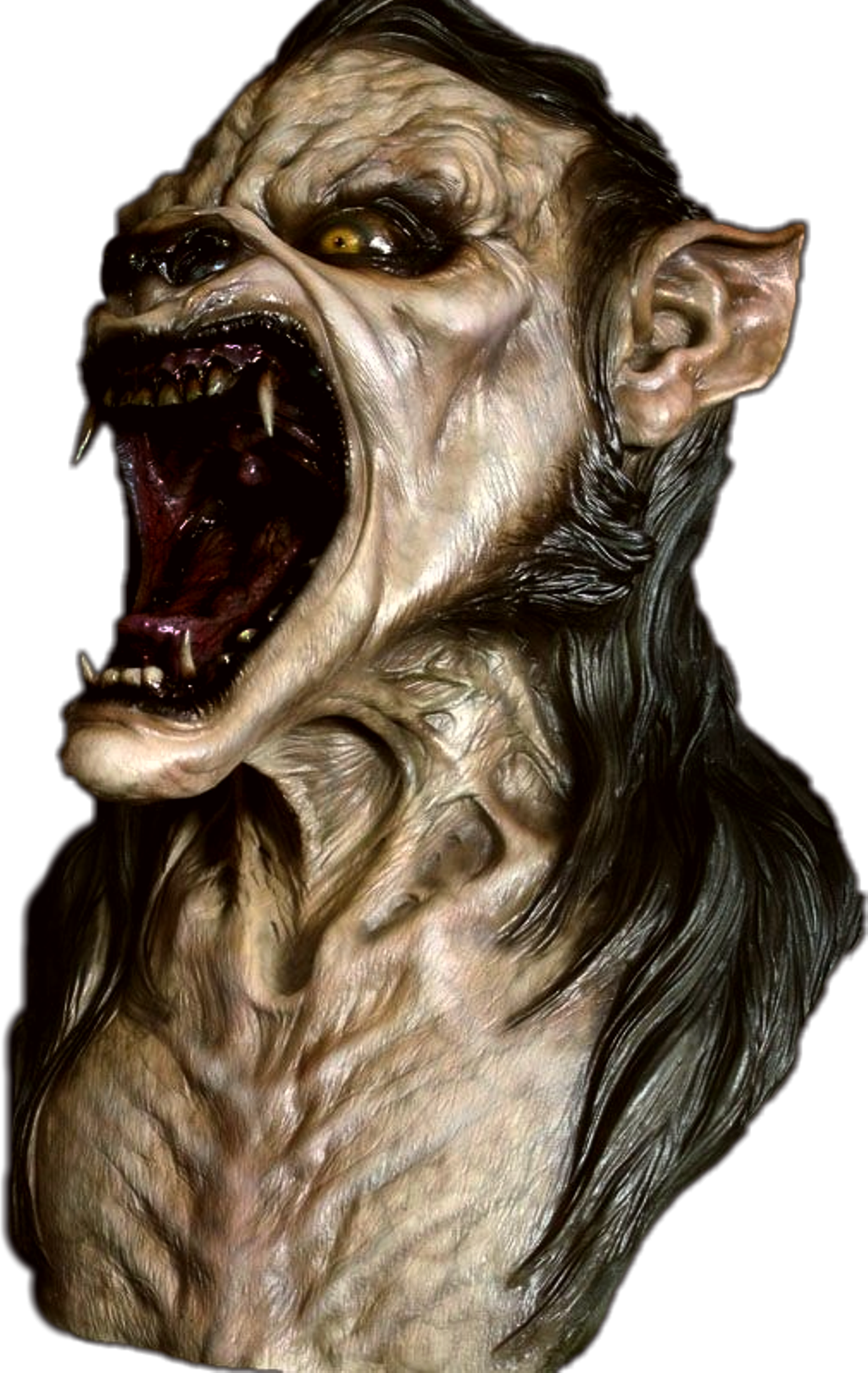 #wolfman (1024x1620), Png Download