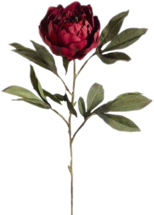 #tumblr #spring #vintage #flower #flowers #flowerart - Vintage Flower Art Transparent (1024x1024), Png Download
