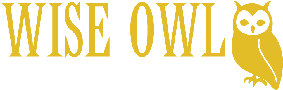 Wise Owl Bird Of Prey Rescue (1000x340), Png Download