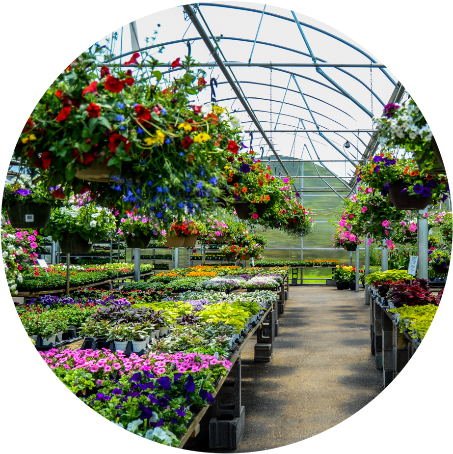 Circle Cropdsc 5729 - Greenhouse (1000x952), Png Download