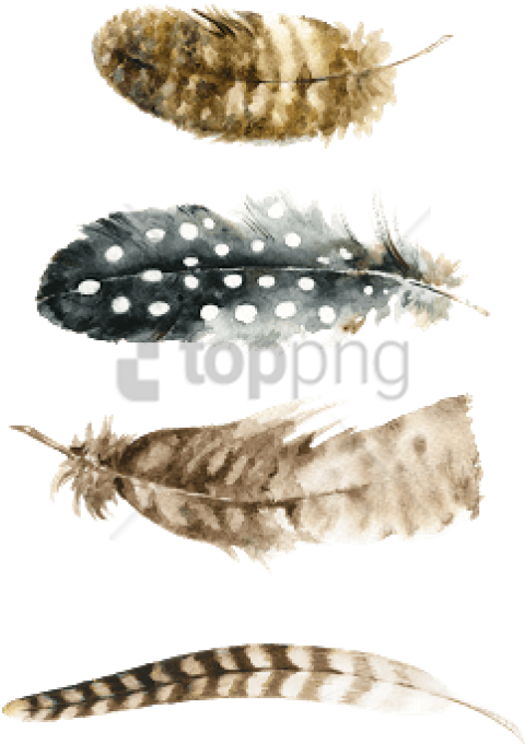 Free Png Watercolor Feather Free Png Image With Transparent - Feather Free Printable (480x680), Png Download