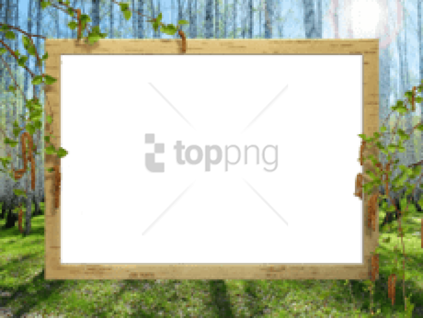 Free Png Spring Border Png Png Image With Transparent - Picture Frame (850x640), Png Download