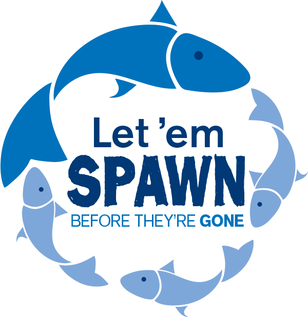 Let 'em Spawn (600x618), Png Download