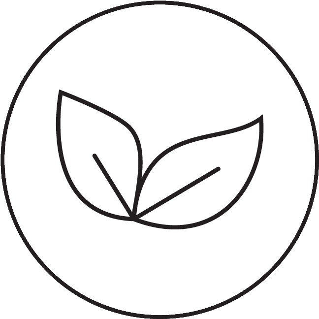 Herbal Balm - Line Art (655x655), Png Download