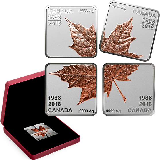 Pure Silver Rose Gold-plated Maple Leaf Quartet - Silver (570x570), Png Download