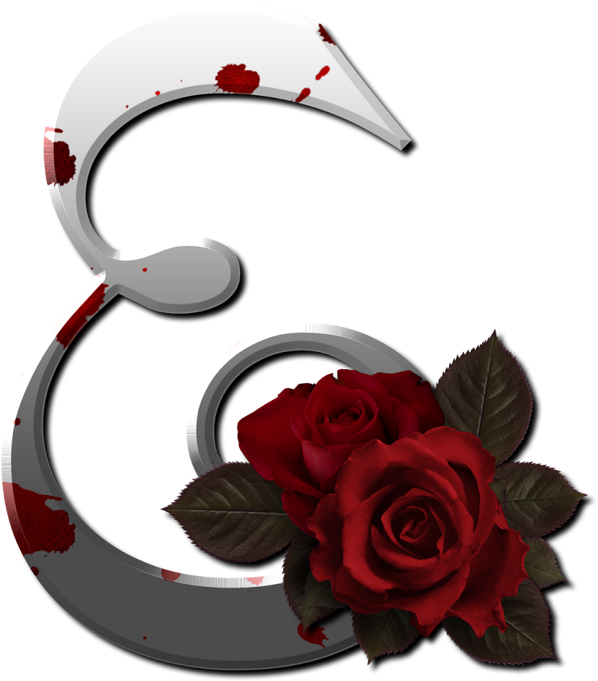 Marcos Gratis Para Fotos - Rosas Vermelhas Letra E Png (1600x1600), Png Download