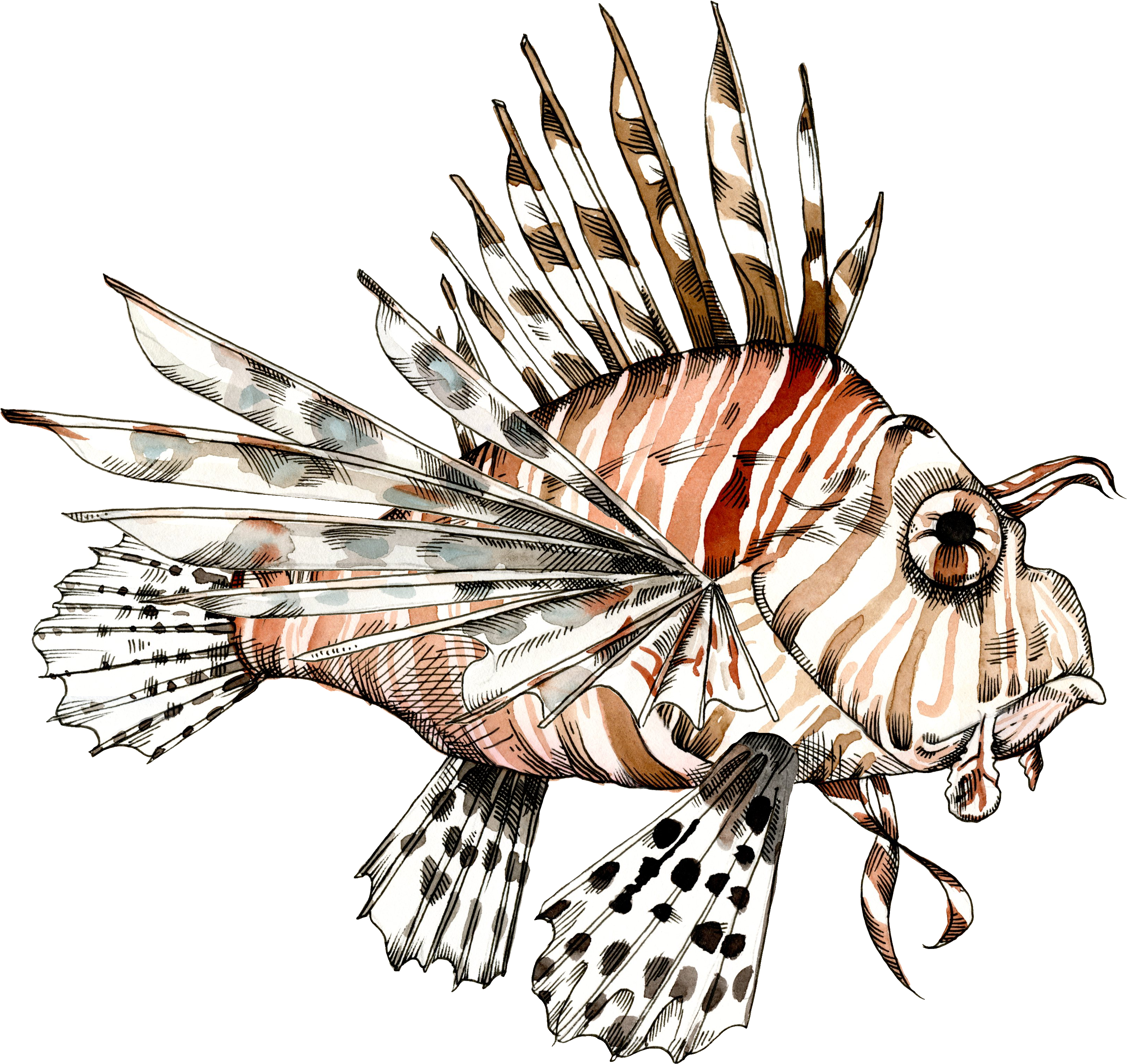 Feuerfisch Illustration - Lionfish (3294x3153), Png Download