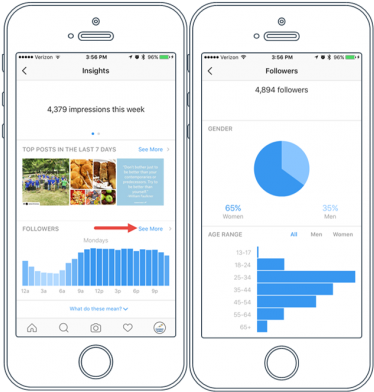 $7 - 99 $1 - - Instagram Insights Example (768x401), Png Download