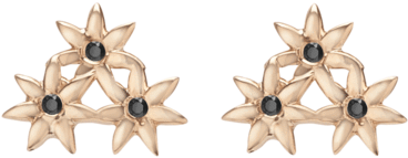 Earrings (600x600), Png Download