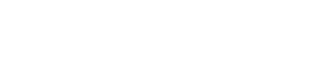 Bruno Garofalo - Toronto Film Festival Logo White (1440x336), Png Download