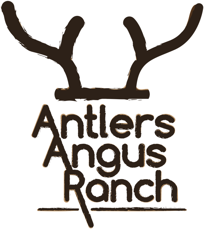 Partner Ranches - Illustration (1000x1000), Png Download