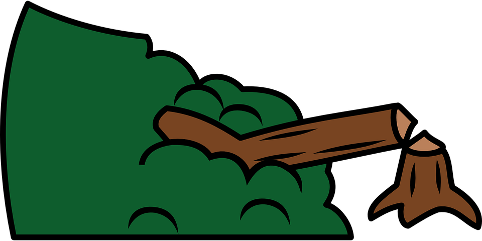 Decision Tree (960x480), Png Download