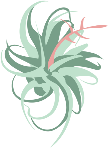 Air Plant City Logo Images-13 - Illustration (1000x1000), Png Download