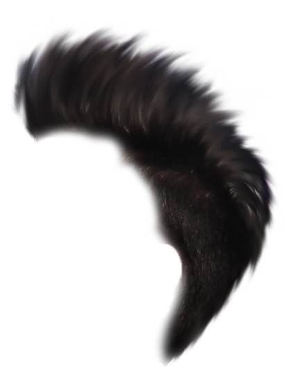 Heartless Hair Png Heartless Editing Png - Millipedes (657x723), Png Download