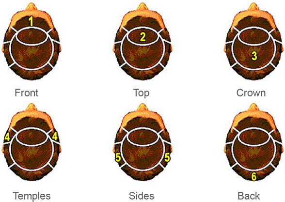 Hair Cut In Size - Circle (725x445), Png Download