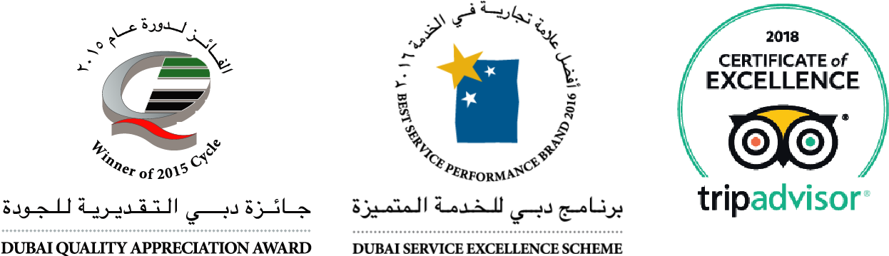 Global Village Awards And Recognition - Flag (1314x382), Png Download