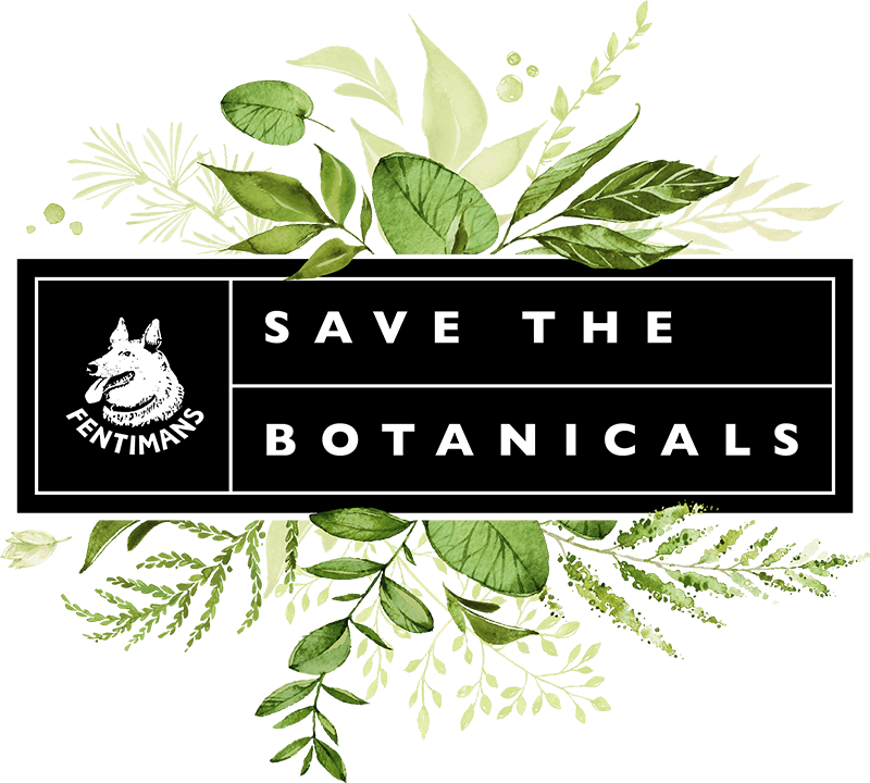 Fentimans Save The Botanicals - Wedding Invitations (800x720), Png Download