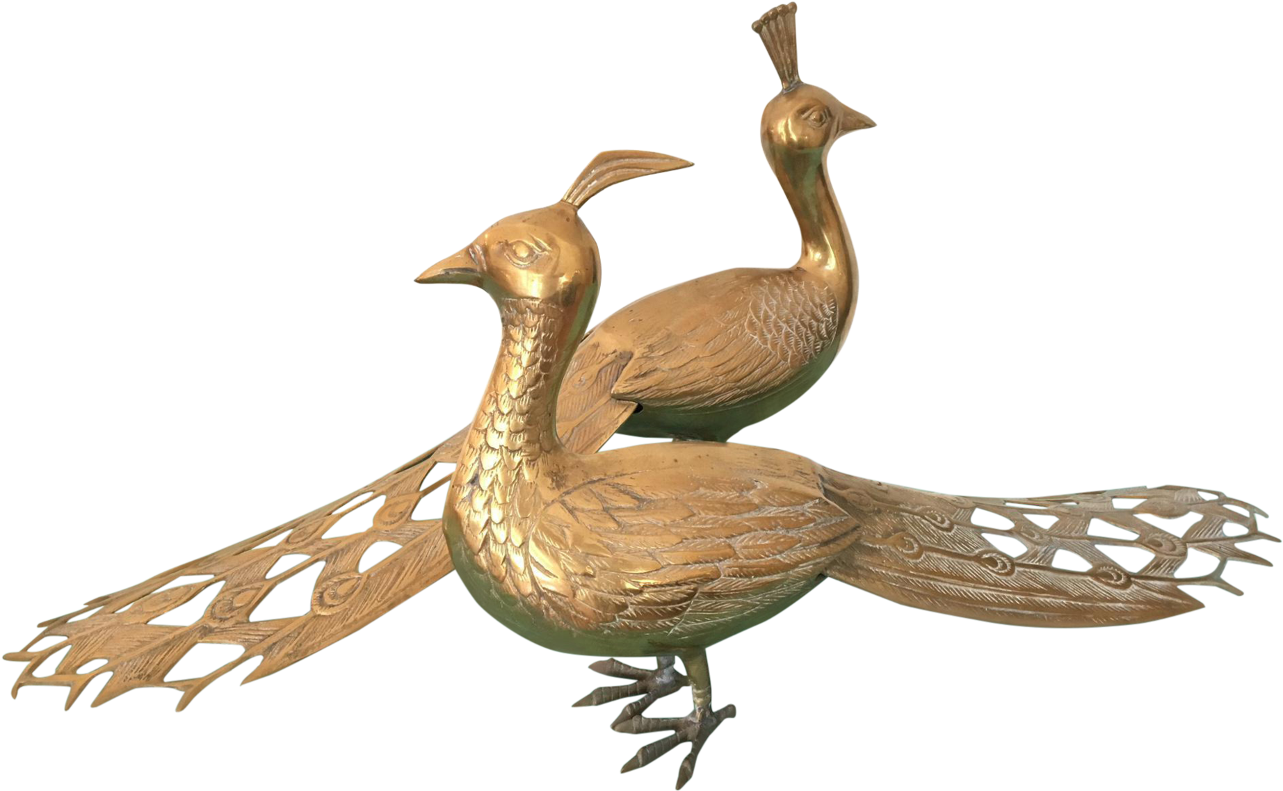 Solid Brass Male And Female Peacock Statues - American Black Duck (2048x1263), Png Download