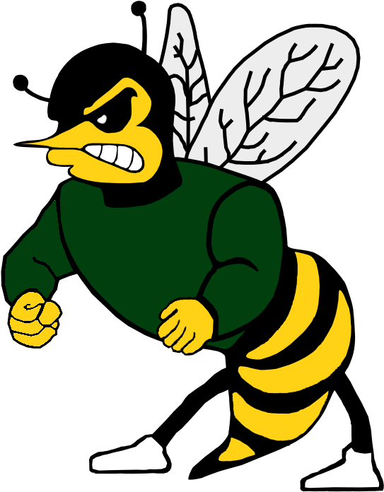 Leavitt Hornets Logo 2 By Chris - Leavitt Area High School Mascot (1000x737), Png Download