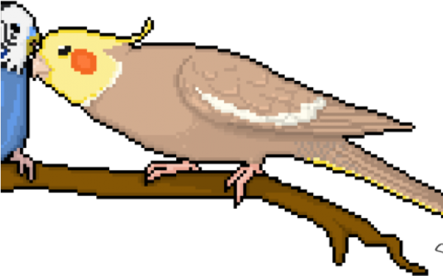Budgie Clipart Pixel Art - Cockatiel Pixel Art (640x480), Png Download