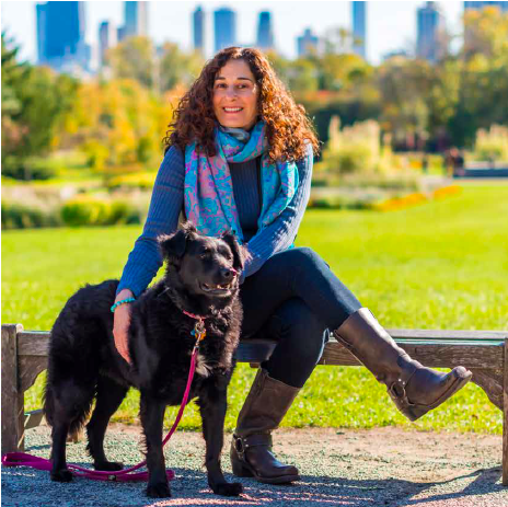 Article By Chicago Real Producers - Companion Dog (700x462), Png Download